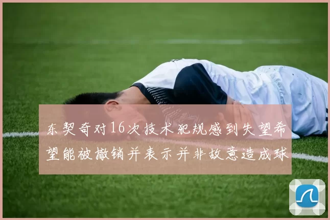 东契奇对16次技术犯规感到失望希望能被撤销并表示并非故意造成球队困扰